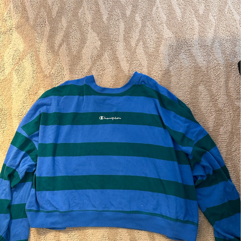 Champion XL Blue and Green Striped Long Sleeve Shirt
